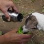 H2O4K9 Láhev na vodu pro psa 0.3L - zelená